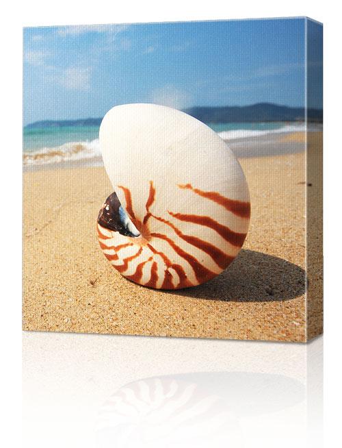 12x12" (30x30cm) Canvas Print